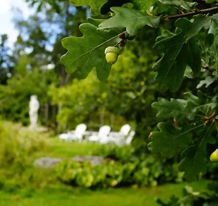 Pehtoorin Kammarit *