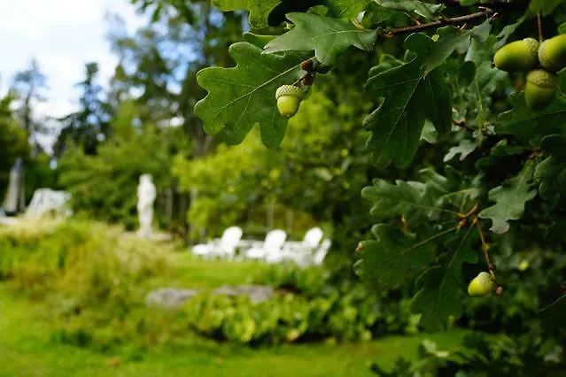 Pehtoorin Kammarit *